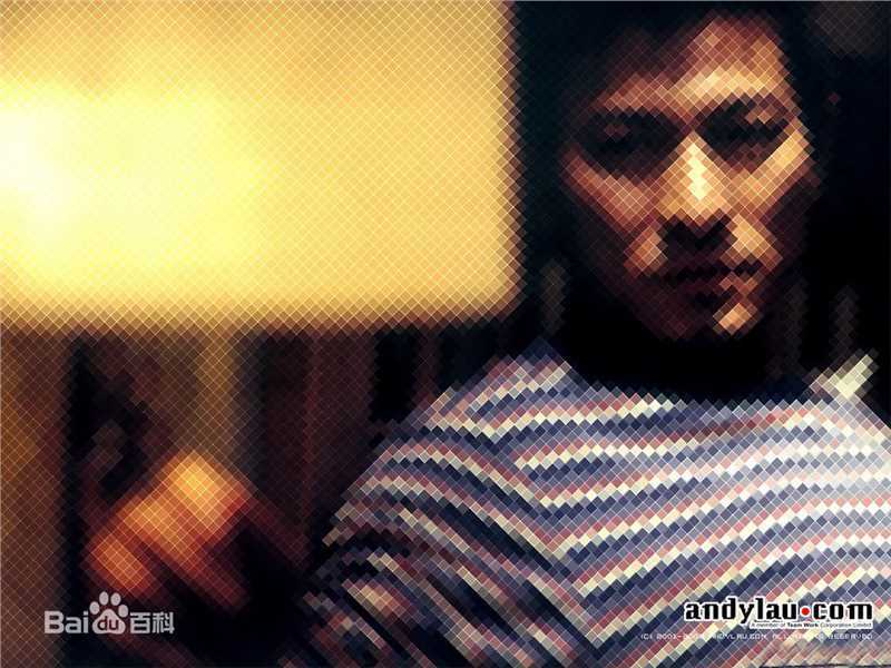 最全刘德华(Andy Lau，Lau Tak Wah)精彩图册1