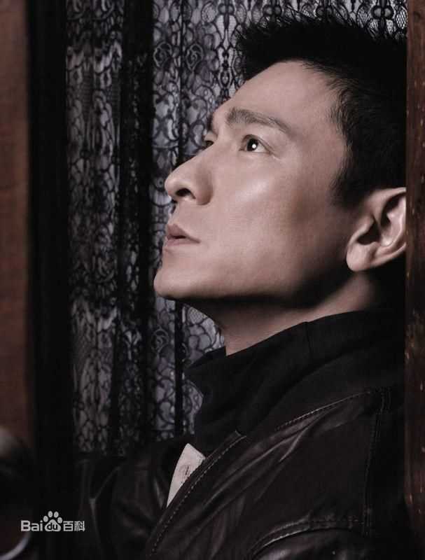 最全刘德华(Andy Lau，Lau Tak Wah)精彩图册1
