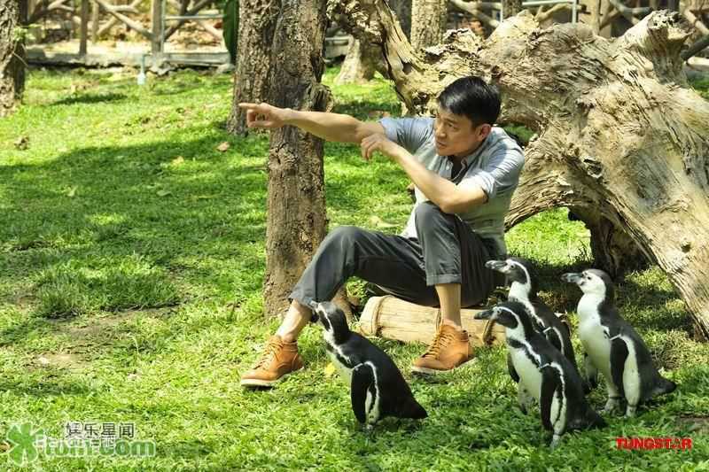 最全刘德华(Andy Lau，Lau Tak Wah)精彩图册1