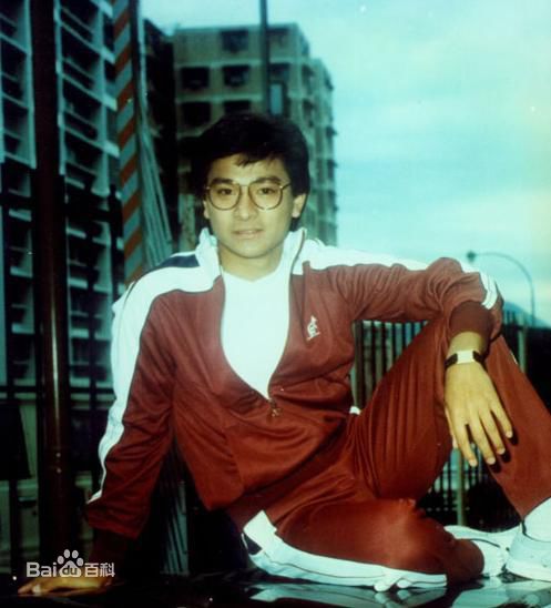 最全刘德华(Andy Lau，Lau Tak Wah)精彩图册1