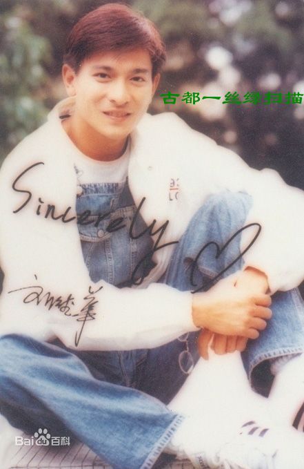 最全刘德华(Andy Lau，Lau Tak Wah)精彩图册1