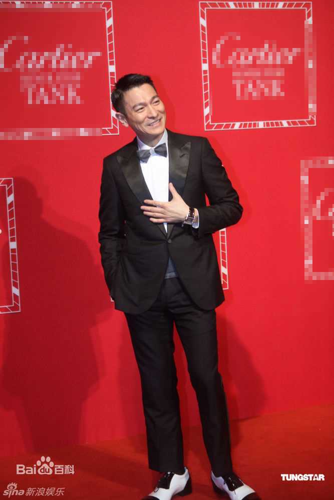 最全刘德华(Andy Lau，Lau Tak Wah)精彩图册