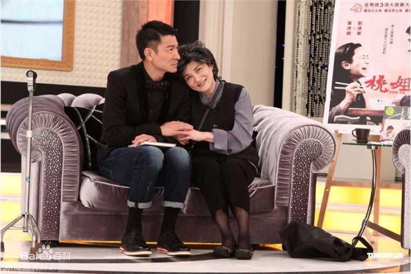 高清刘德华(Andy Lau，Lau Tak Wah)精彩图册