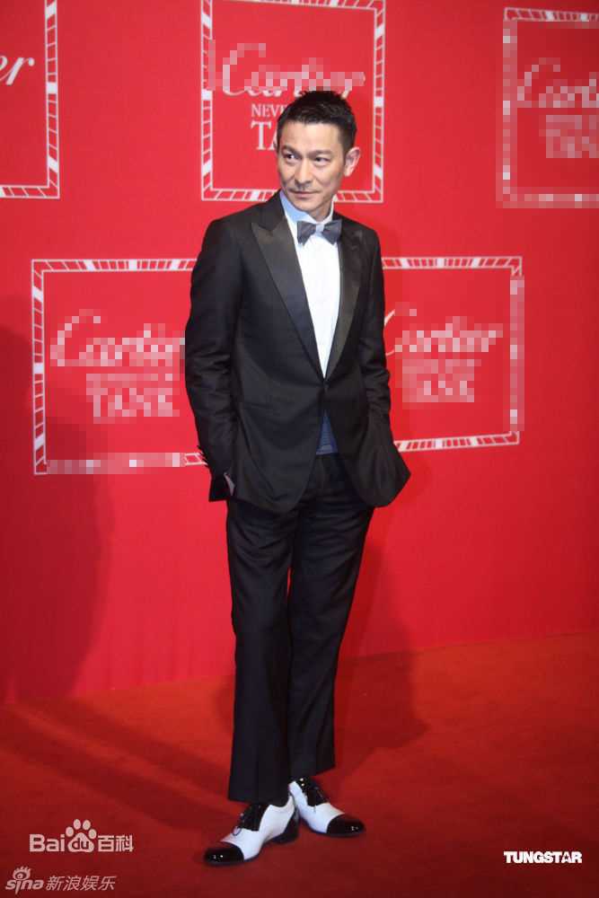 高清刘德华(Andy Lau，Lau Tak Wah)精彩图册