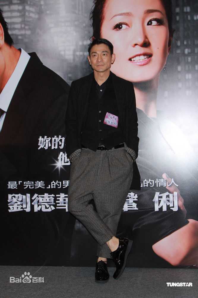 高清刘德华(Andy Lau，Lau Tak Wah)精彩图册