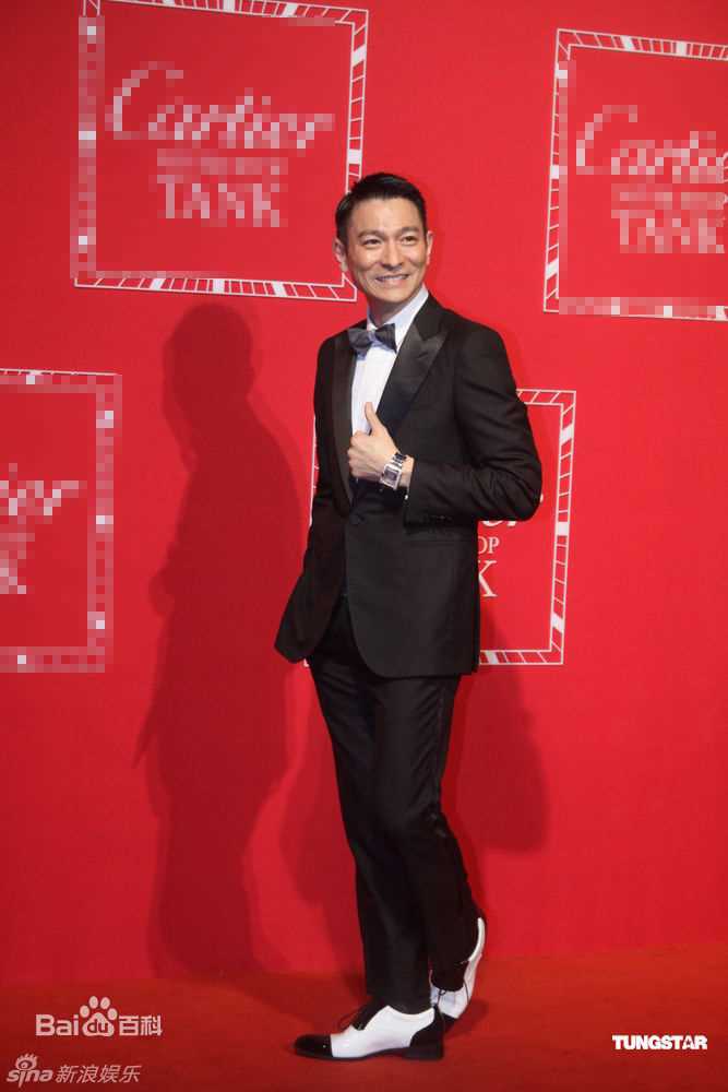 高清刘德华(Andy Lau，Lau Tak Wah)精彩图册