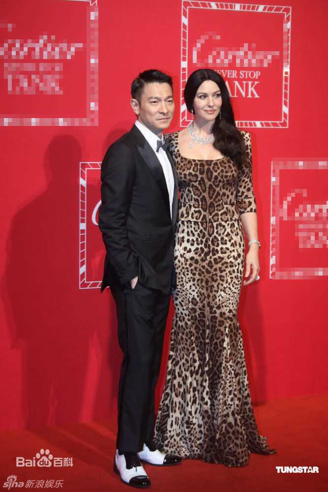 高清刘德华(Andy Lau，Lau Tak Wah)精彩图册