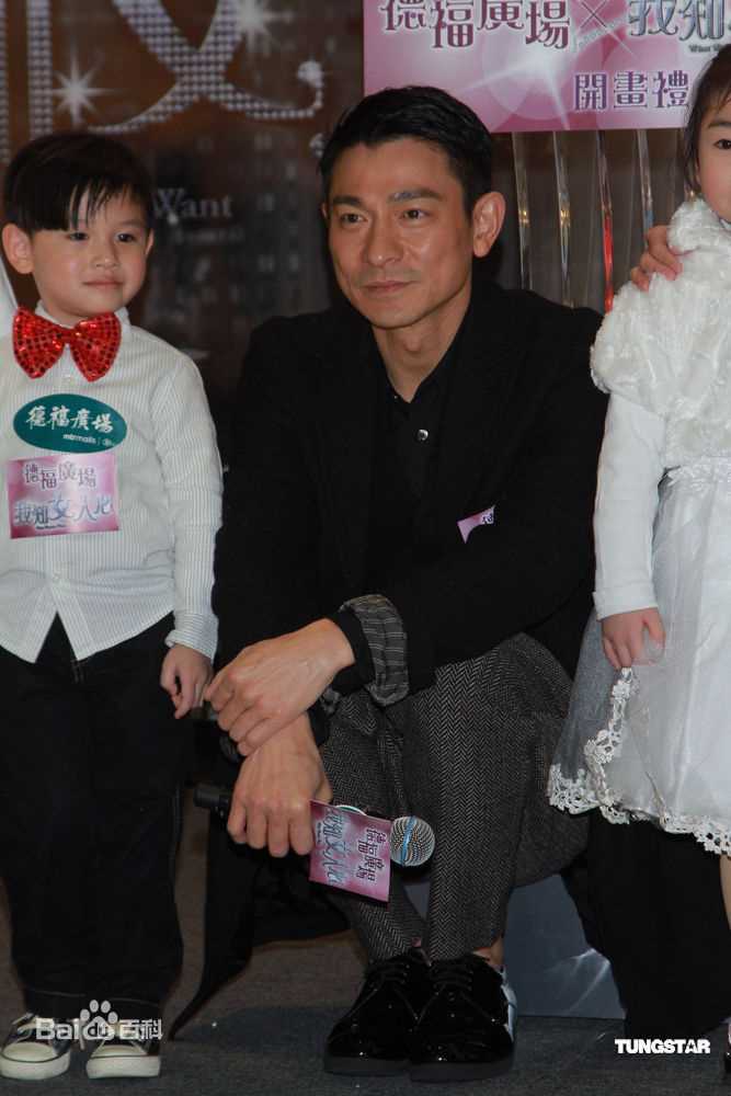 高清刘德华(Andy Lau，Lau Tak Wah)精彩图册