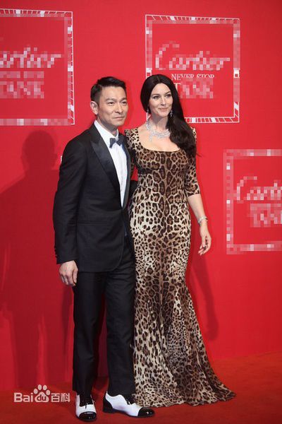 刘德华(Andy Lau，Lau Tak Wah)精彩图册