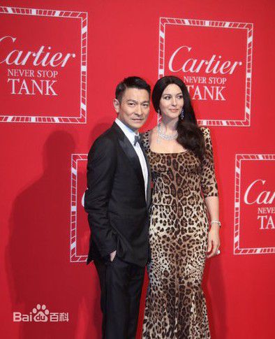 刘德华(Andy Lau，Lau Tak Wah)精彩图册