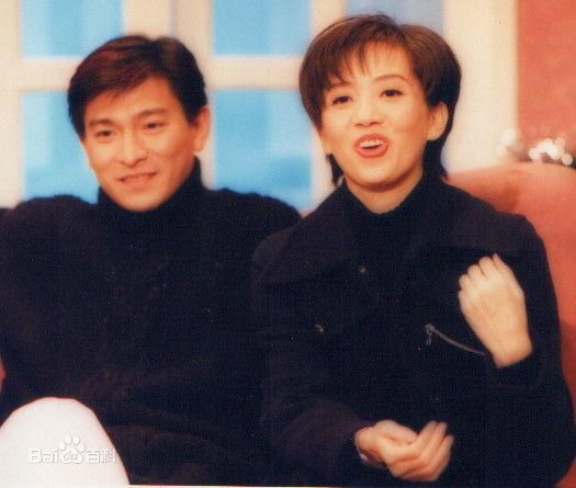 最全刘德华(Andy Lau，Lau Tak Wah)精彩图册1