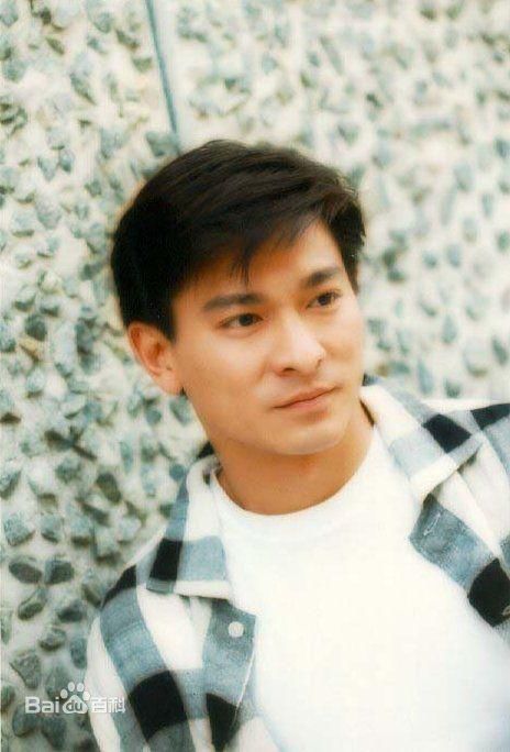 最全刘德华(Andy Lau，Lau Tak Wah)精彩图册1