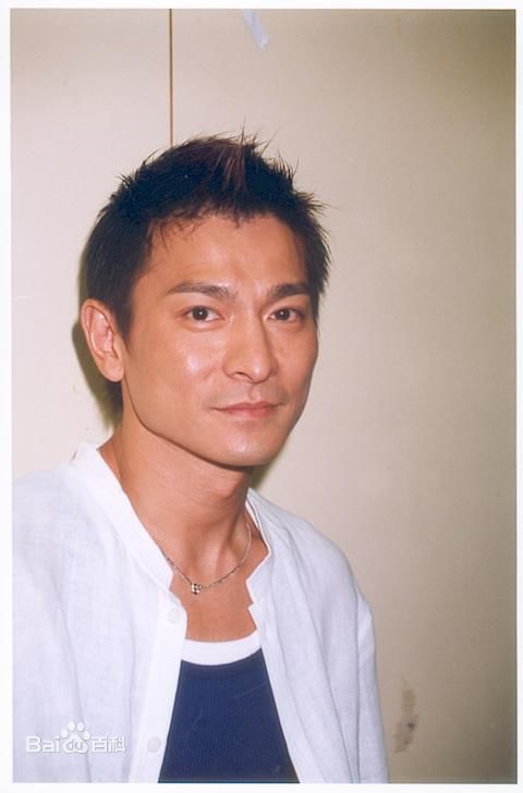 最全刘德华(Andy Lau，Lau Tak Wah)精彩图册1
