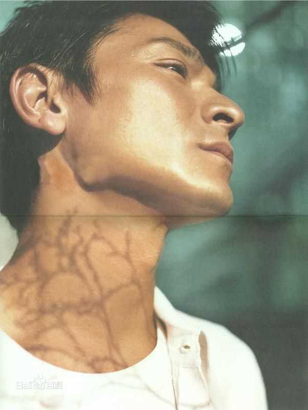 最全刘德华(Andy Lau，Lau Tak Wah)精彩图册1