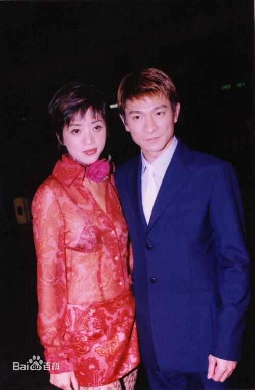 最全刘德华(Andy Lau，Lau Tak Wah)精彩图册1