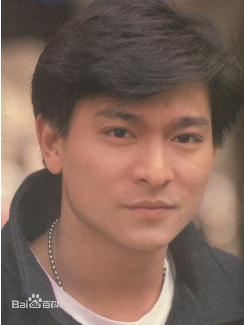 最全刘德华(Andy Lau，Lau Tak Wah)精彩图册1