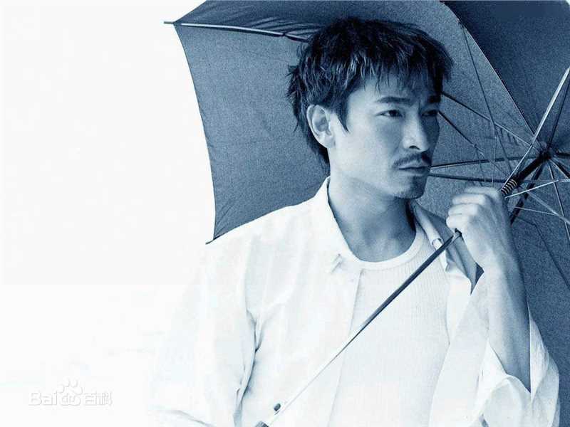 最全刘德华(Andy Lau，Lau Tak Wah)精彩图册1