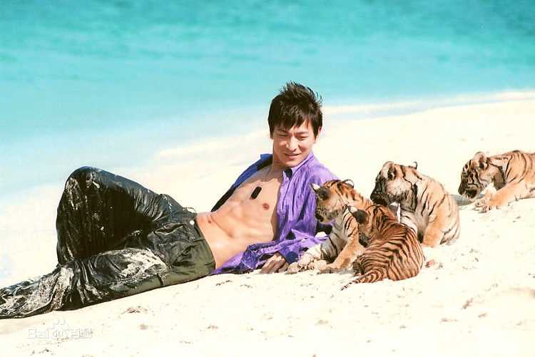 最全刘德华(Andy Lau，Lau Tak Wah)精彩图册1