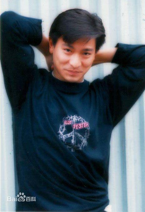 最全刘德华(Andy Lau，Lau Tak Wah)精彩图册1