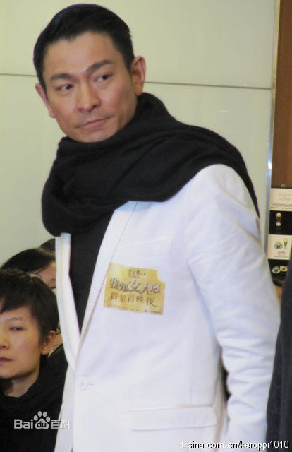 刘德华(Andy Lau，Lau Tak Wah)2011.2.14 我知女人心 香港首映图片图集