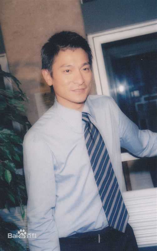 刘德华(Andy Lau，Lau Tak Wah)华仔图册