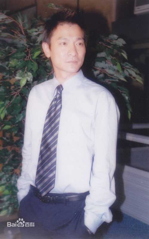 刘德华(Andy Lau，Lau Tak Wah)华仔图册