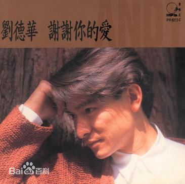 刘德华(Andy Lau，Lau Tak Wah)最新音乐专辑封面壁纸