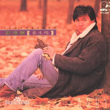 刘德华(Andy Lau，Lau Tak Wah)最新音乐专辑封面壁纸