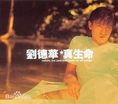 刘德华(Andy Lau，Lau Tak Wah)最新音乐专辑封面壁纸