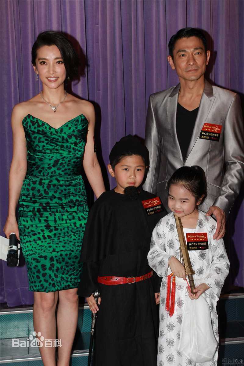 高清刘德华(Andy Lau，Lau Tak Wah)精彩图册