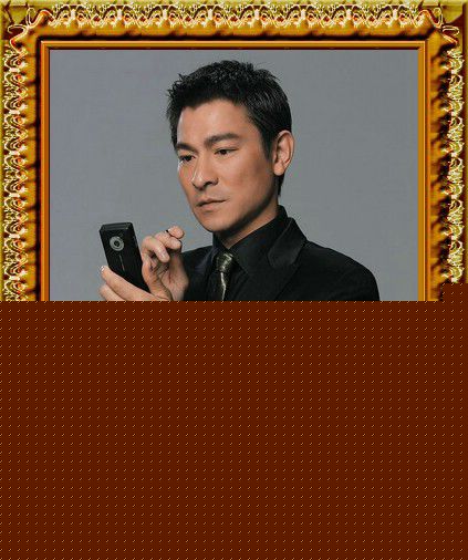 最优质刘德华(Andy Lau，Lau Tak Wah)生活照