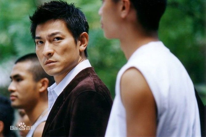 最优质刘德华(Andy Lau，Lau Tak Wah)生活照