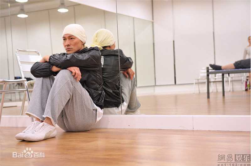 最全刘德华(Andy Lau，Lau Tak Wah)精彩图册