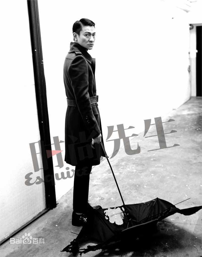 最全刘德华(Andy Lau，Lau Tak Wah)精彩图册