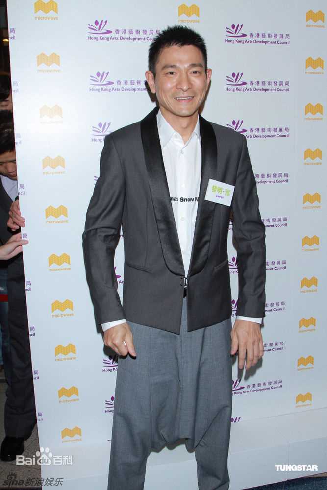 最全刘德华(Andy Lau，Lau Tak Wah)精彩图册