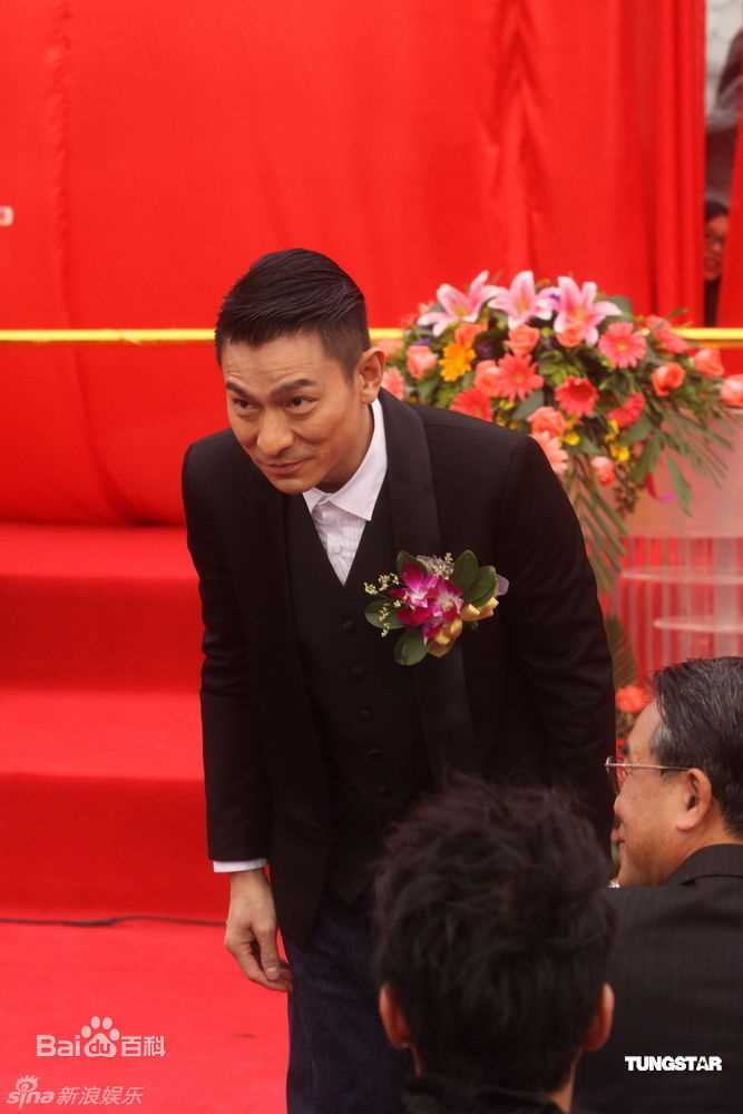 最全刘德华(Andy Lau，Lau Tak Wah)精彩图册