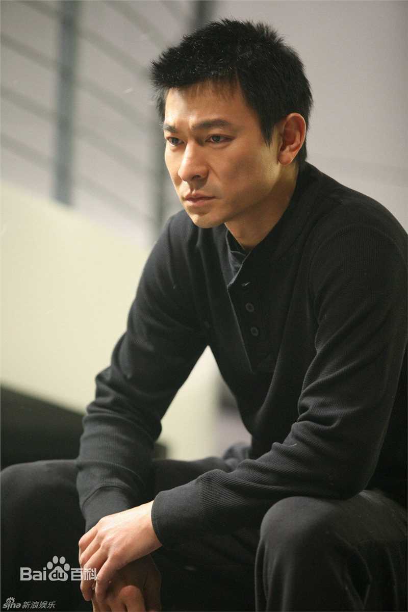 最全刘德华(Andy Lau，Lau Tak Wah)精彩图册