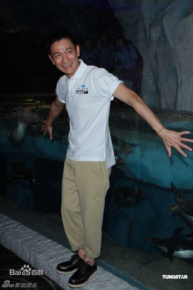 最全刘德华(Andy Lau，Lau Tak Wah)精彩图册