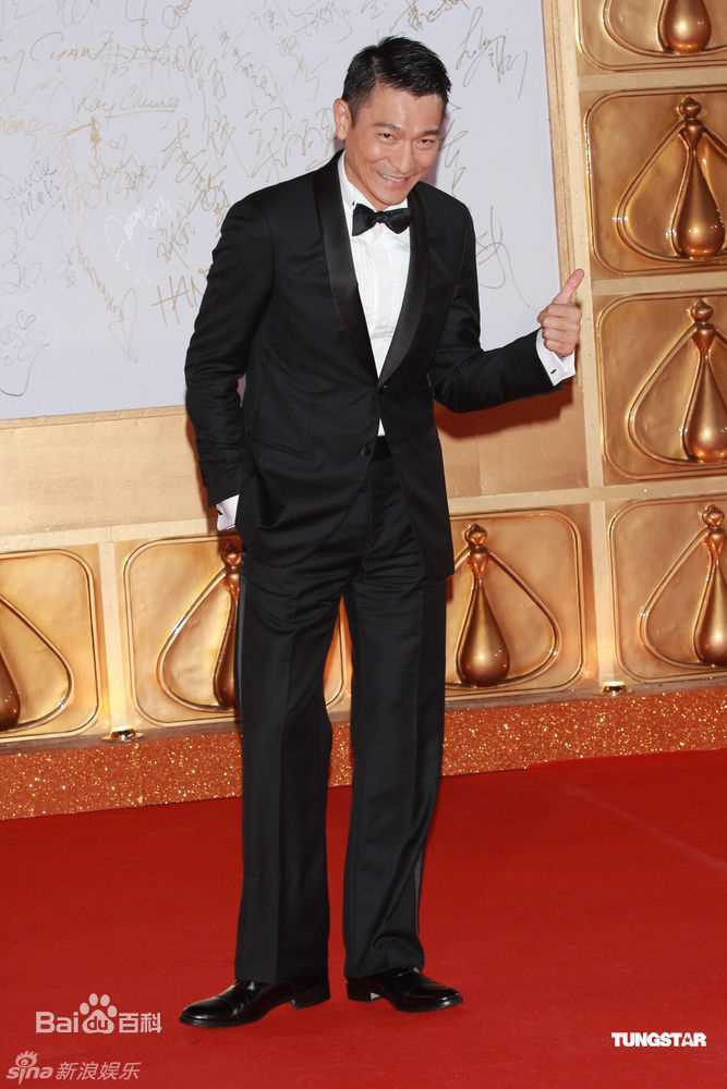 最优质刘德华(Andy Lau，Lau Tak Wah)精彩图册