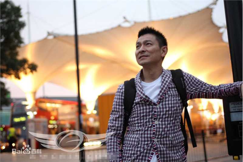 最优质刘德华(Andy Lau，Lau Tak Wah)精彩图册