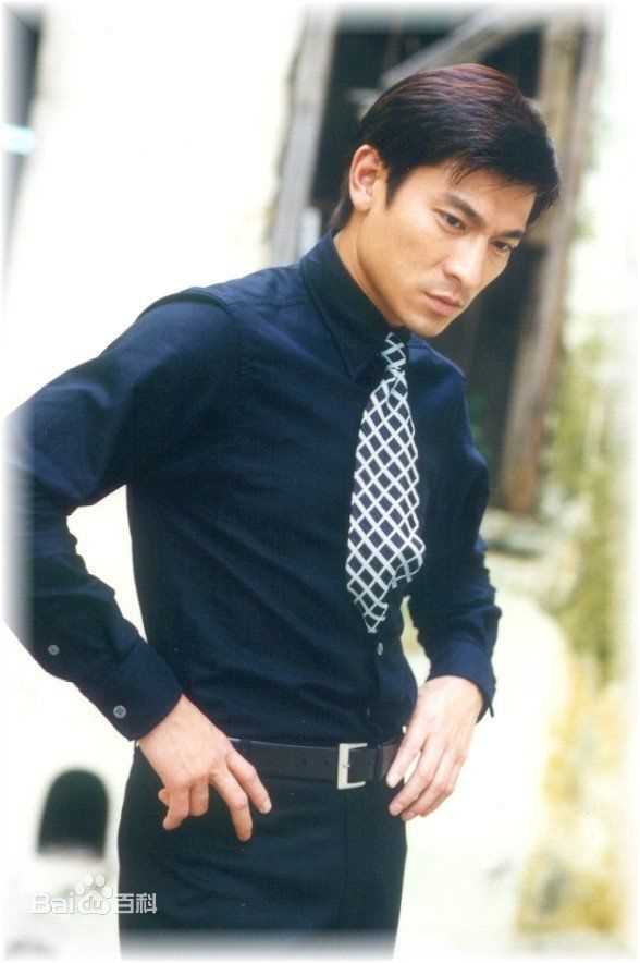 最优质刘德华(Andy Lau，Lau Tak Wah)精彩图册