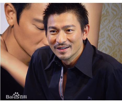 最优质刘德华(Andy Lau，Lau Tak Wah)精彩图册
