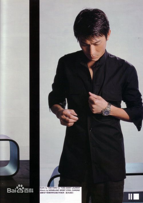 最优质刘德华(Andy Lau，Lau Tak Wah)精彩图册