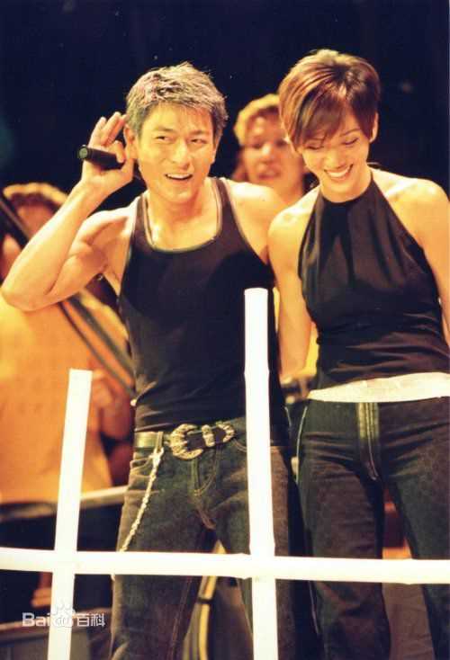 最优质刘德华(Andy Lau，Lau Tak Wah)精彩图册