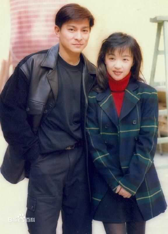 最优质刘德华(Andy Lau，Lau Tak Wah)精彩图册