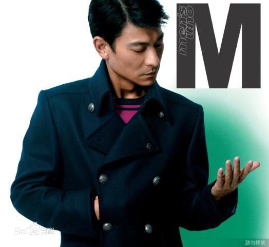 最优质刘德华(Andy Lau，Lau Tak Wah)精彩图册