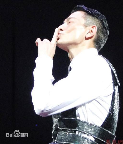 最优质刘德华(Andy Lau，Lau Tak Wah)精彩图册