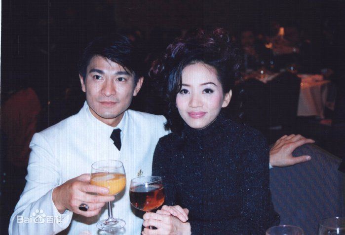 最优质刘德华(Andy Lau，Lau Tak Wah)精彩图册