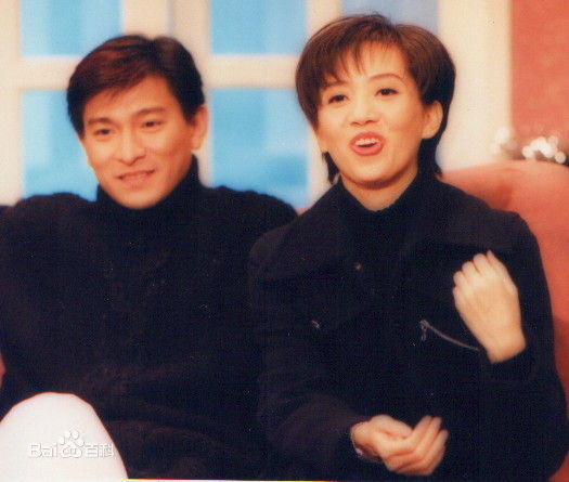 最全刘德华(Andy Lau，Lau Tak Wah)精彩图册