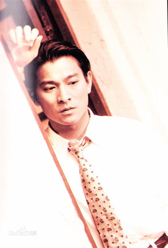 最全刘德华(Andy Lau，Lau Tak Wah)精彩图册